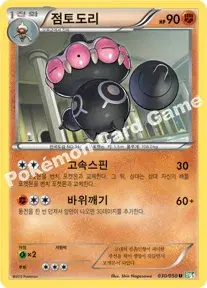점토도리