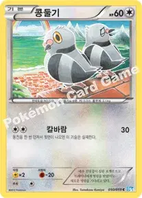 콩둘기