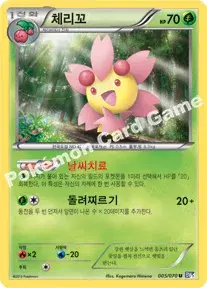 체리꼬