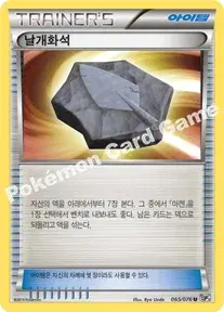 날개화석