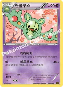란쿨루스