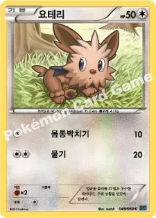 요테리
