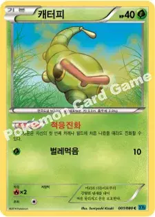 캐터피