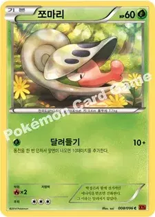 쪼마리