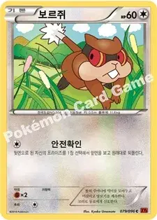 보르쥐