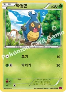 딱정곤