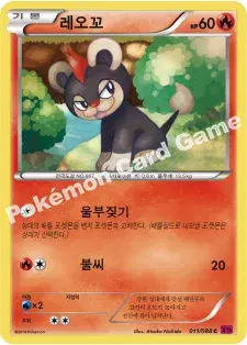 레오꼬