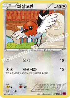 화살꼬빈