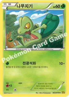 나무지기
