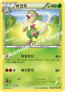 버섯모