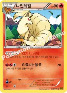 나인테일