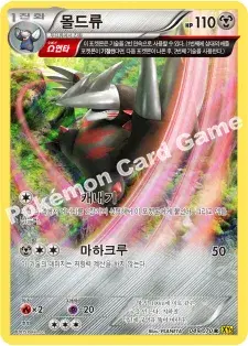 몰드류