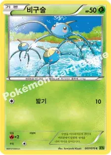 비구술