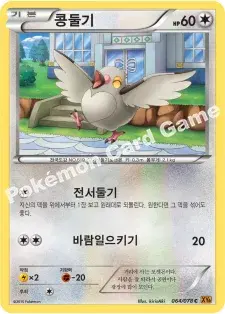 콩둘기