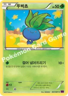 뚜벅쵸