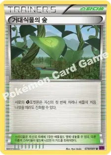 거대식물의 숲