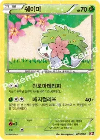 쉐이미