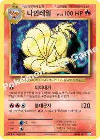 나인테일