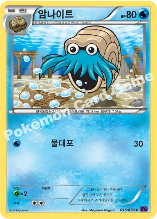 암나이트