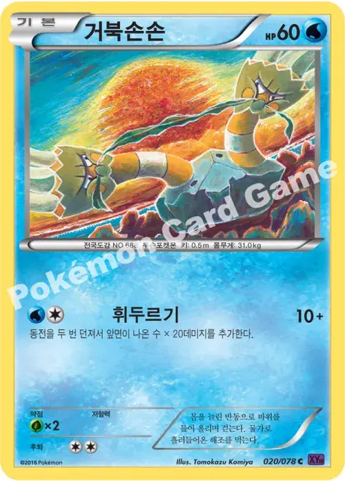 거북손손