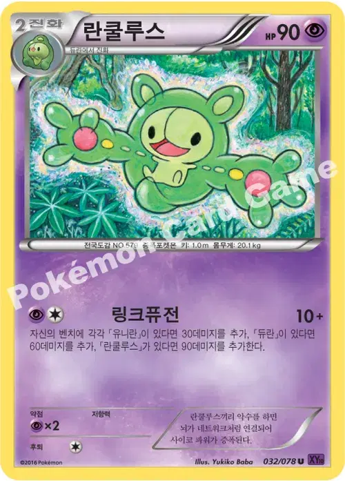 란쿨루스