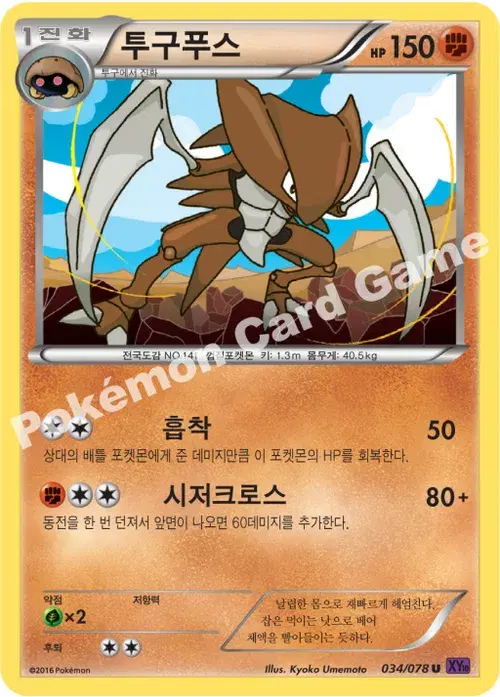 투구푸스
