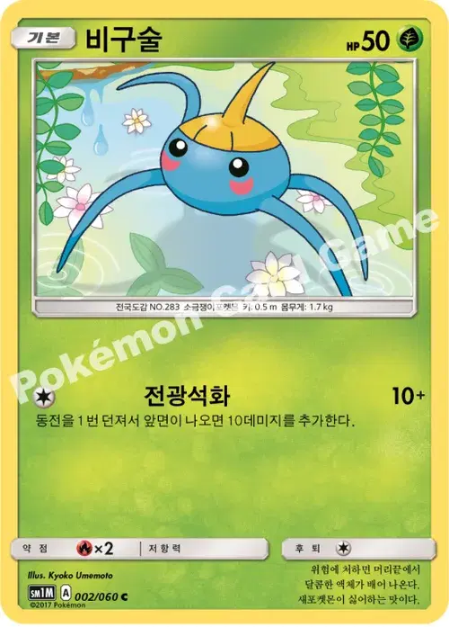 비구술