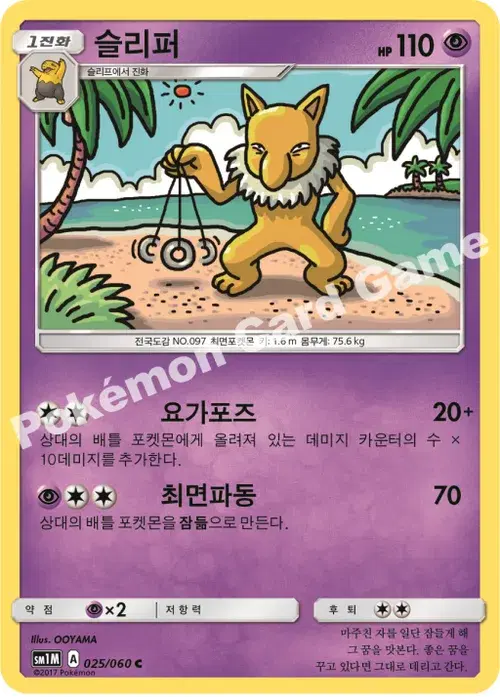 슬리퍼