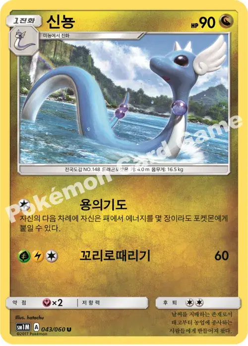 신뇽