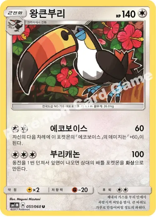 왕큰부리