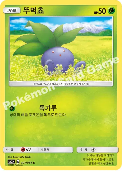 뚜벅쵸