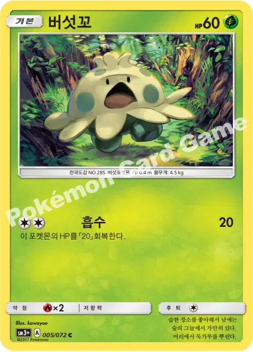 버섯꼬