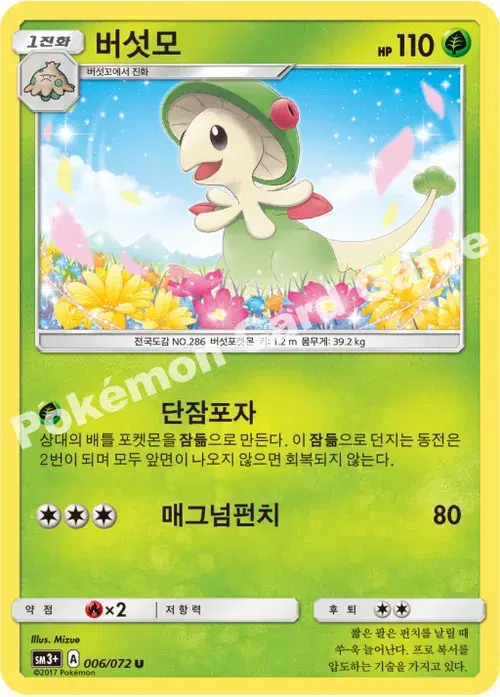 버섯모