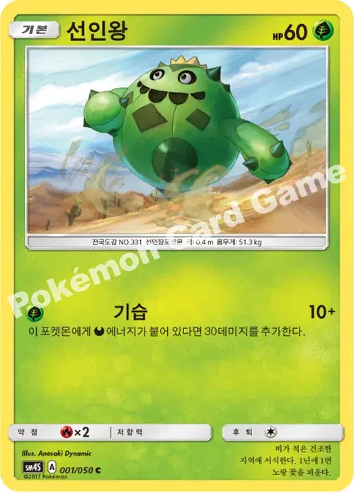 선인왕