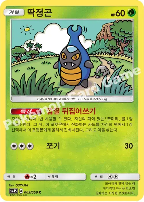 딱정곤