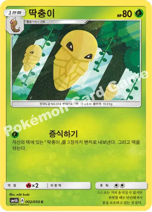 딱충이