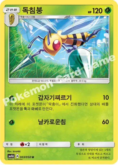 독침붕