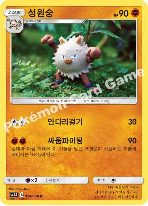 성원숭