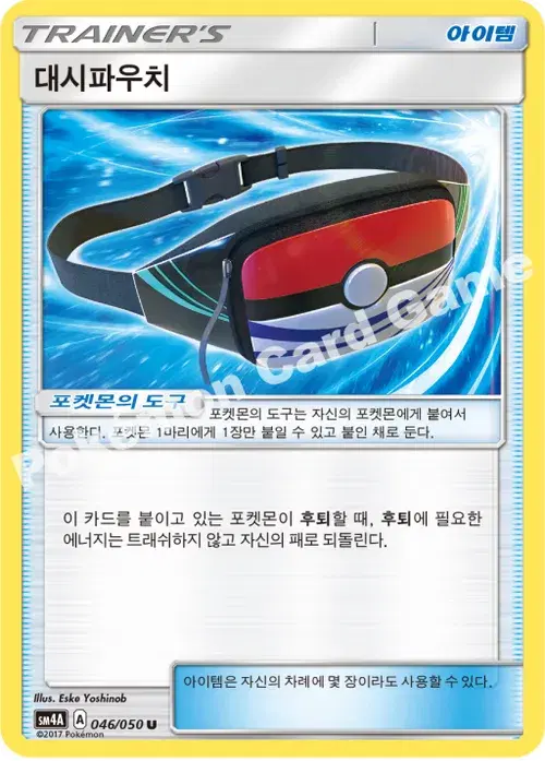 대시파우치