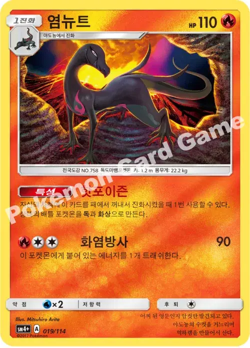 염뉴트