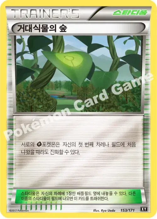 거대식물의 숲