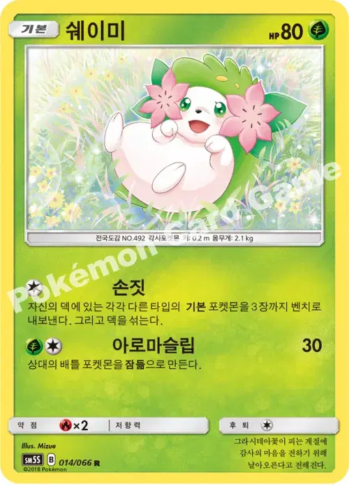쉐이미