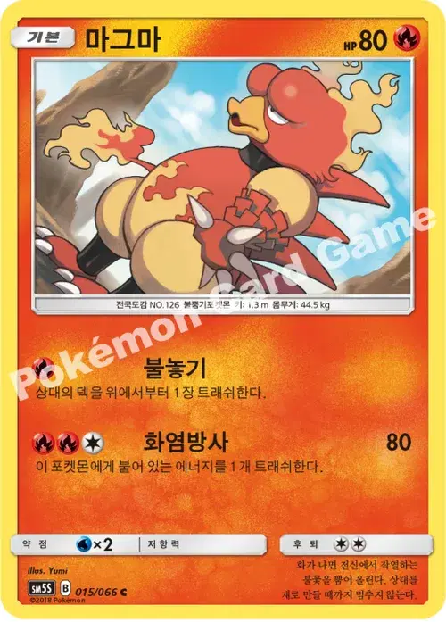 마그마