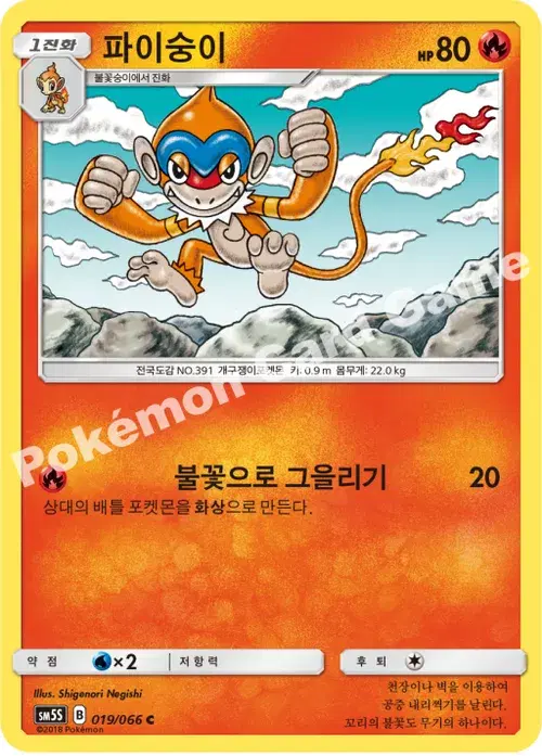 파이숭이
