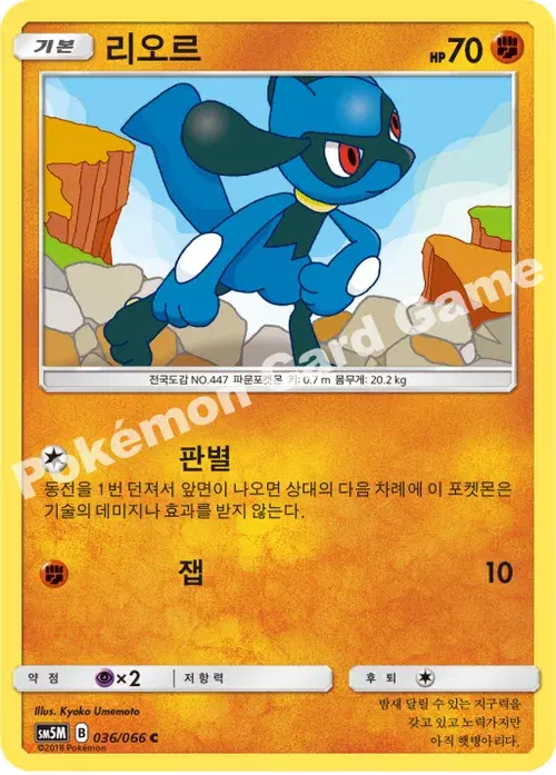 리오르