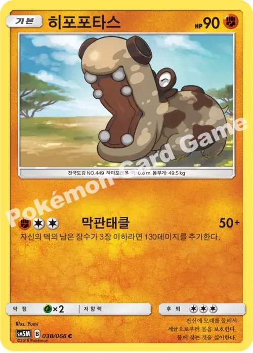 히포포타스