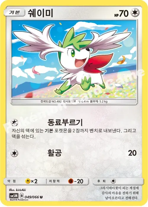 쉐이미