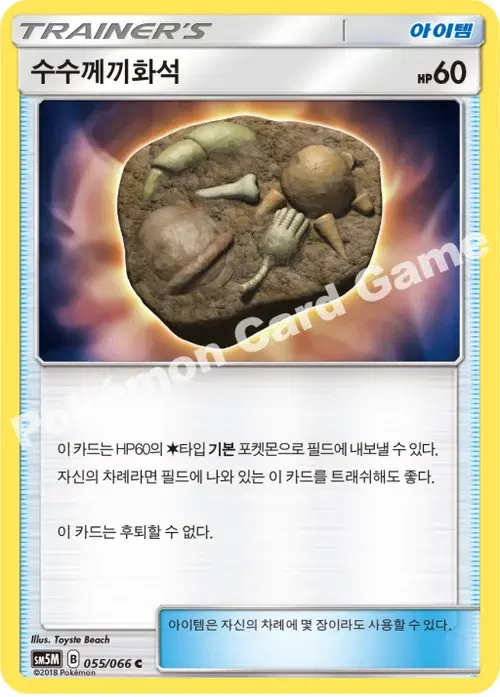 수수께끼화석