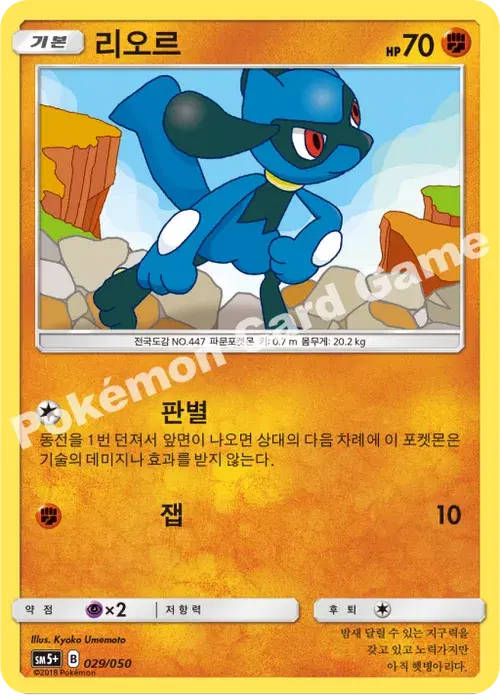 리오르