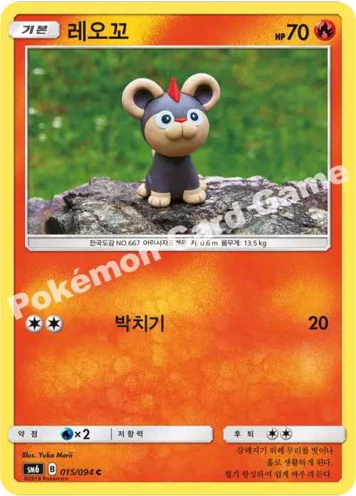 레오꼬